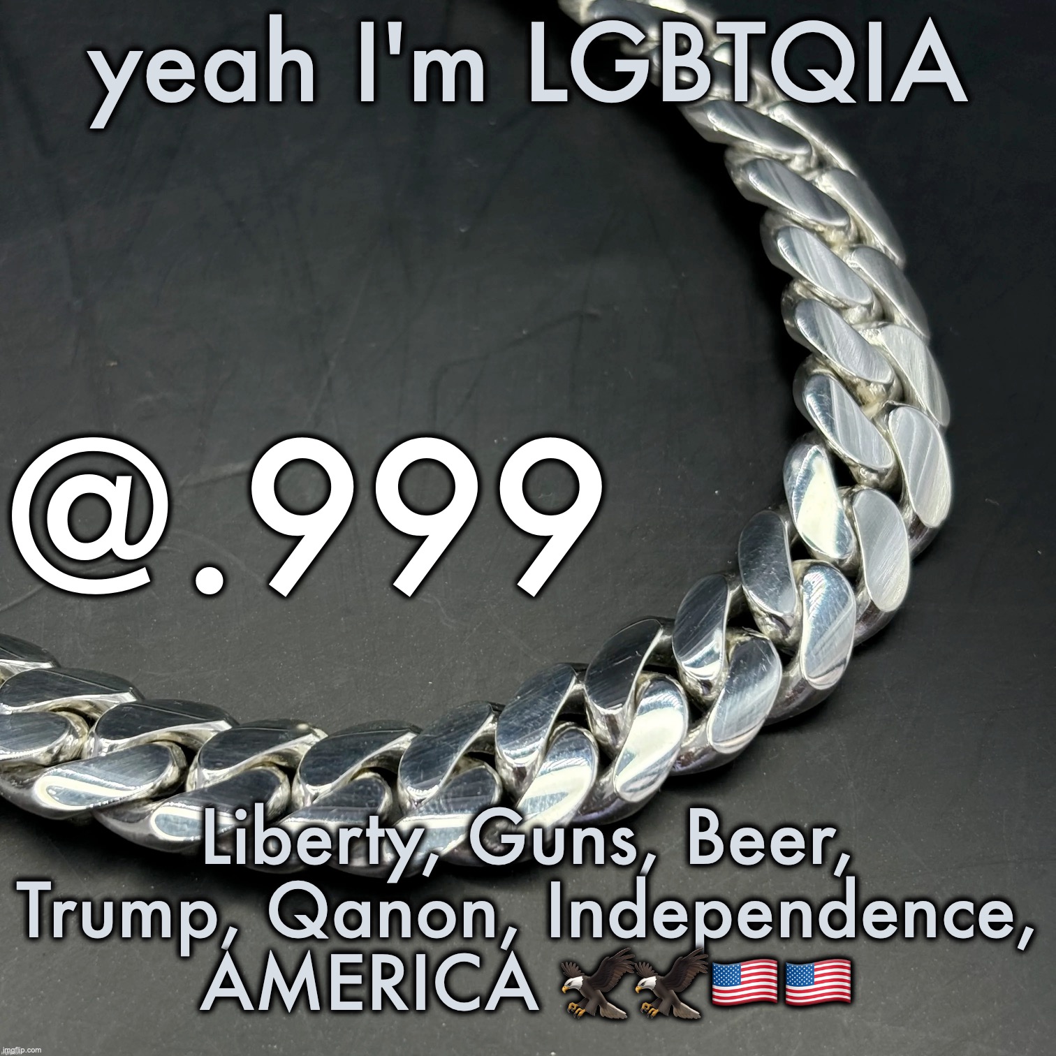 satire in case you couldn't tell | yeah I'm LGBTQIA; Liberty, Guns, Beer, Trump, Qanon, Independence, AMERICA 🦅🦅🇺🇸🇺🇸 | image tagged in silver announcement template 14 0 template | made w/ Imgflip meme maker