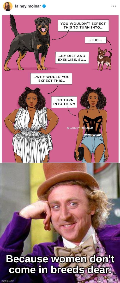 Fat Shaming Wonka | Because women don't come in breeds dear. | image tagged in willy wonka blank,i need feminism because,feminism is cancer,willy wonka,why is the fbi here,shut up my dad works for | made w/ Imgflip meme maker