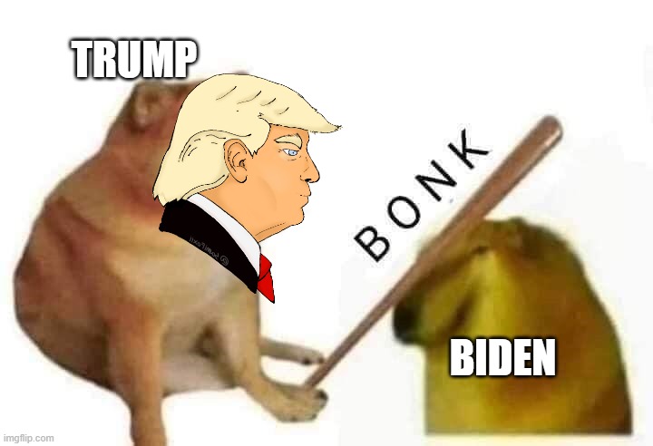 bonk on the head | TRUMP; BIDEN | image tagged in cheems bonk | made w/ Imgflip meme maker