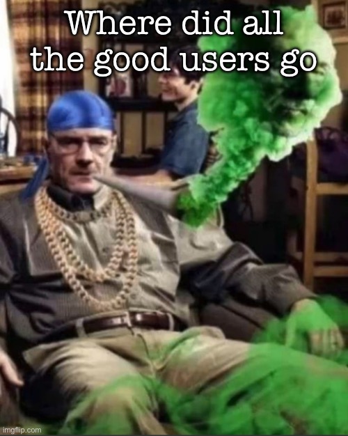Waltuh | Where did all the good users go | image tagged in waltuh,msmg | made w/ Imgflip meme maker