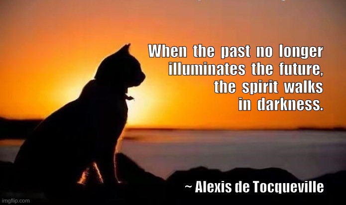 When  the  past  no  longer

illuminates  the  future,

the  spirit  walks

in  darkness. ~ Alexis de Tocqueville | image tagged in cats | made w/ Imgflip meme maker