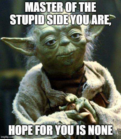 Star Wars Yoda | MASTER OF THE STUPID SIDE YOU ARE, HOPE FOR YOU IS NONE | image tagged in memes,star wars yoda | made w/ Imgflip meme maker