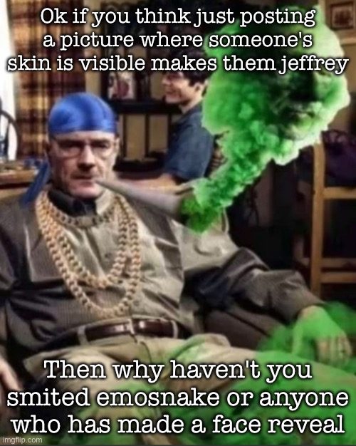 Waltuh | Ok if you think just posting a picture where someone's skin is visible makes them jeffrey; Then why haven't you smited emosnake or anyone who has made a face reveal | image tagged in waltuh,msmg | made w/ Imgflip meme maker