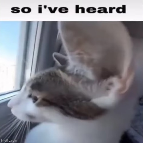 So I've heard | image tagged in so i've heard | made w/ Imgflip meme maker