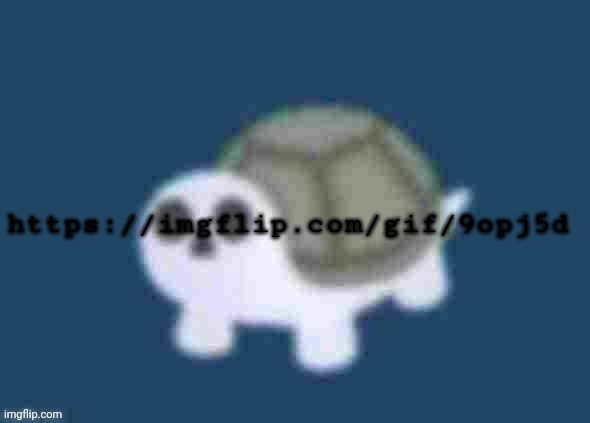 https://imgflip.com/gif/9opj5d plug | https://imgflip.com/gif/9opj5d | image tagged in low quality turtle skeleton | made w/ Imgflip meme maker