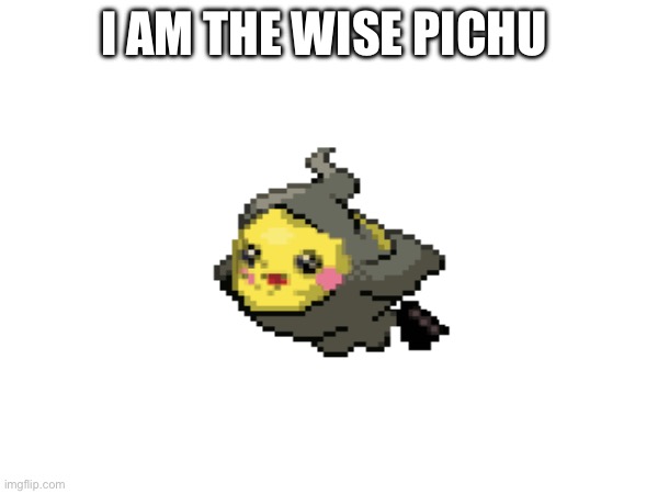 Wise pichu | I AM THE WISE PICHU | image tagged in one does not simply | made w/ Imgflip meme maker