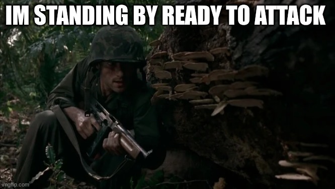 us soldiers | IM STANDING BY READY TO ATTACK | image tagged in us soldiers | made w/ Imgflip meme maker