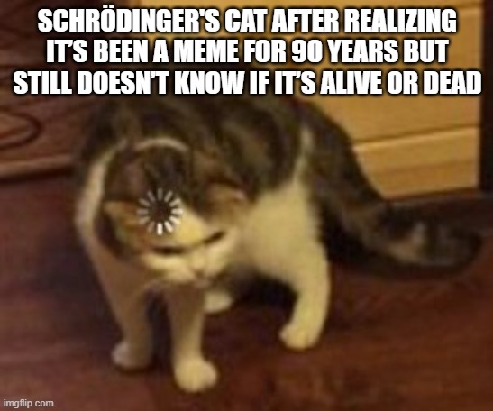 Loading cat | SCHRÖDINGER'S CAT AFTER REALIZING IT’S BEEN A MEME FOR 90 YEARS BUT STILL DOESN’T KNOW IF IT’S ALIVE OR DEAD | image tagged in loading cat | made w/ Imgflip meme maker