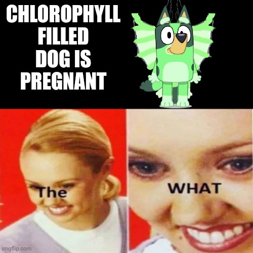 Do you photosynthesize then? | CHLOROPHYLL FILLED DOG IS PREGNANT | image tagged in the what | made w/ Imgflip meme maker