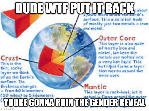 DUDE WTF PUT IT BACK; YOURE GONNA RUIN THE GENDER REVEAL | made w/ Imgflip meme maker