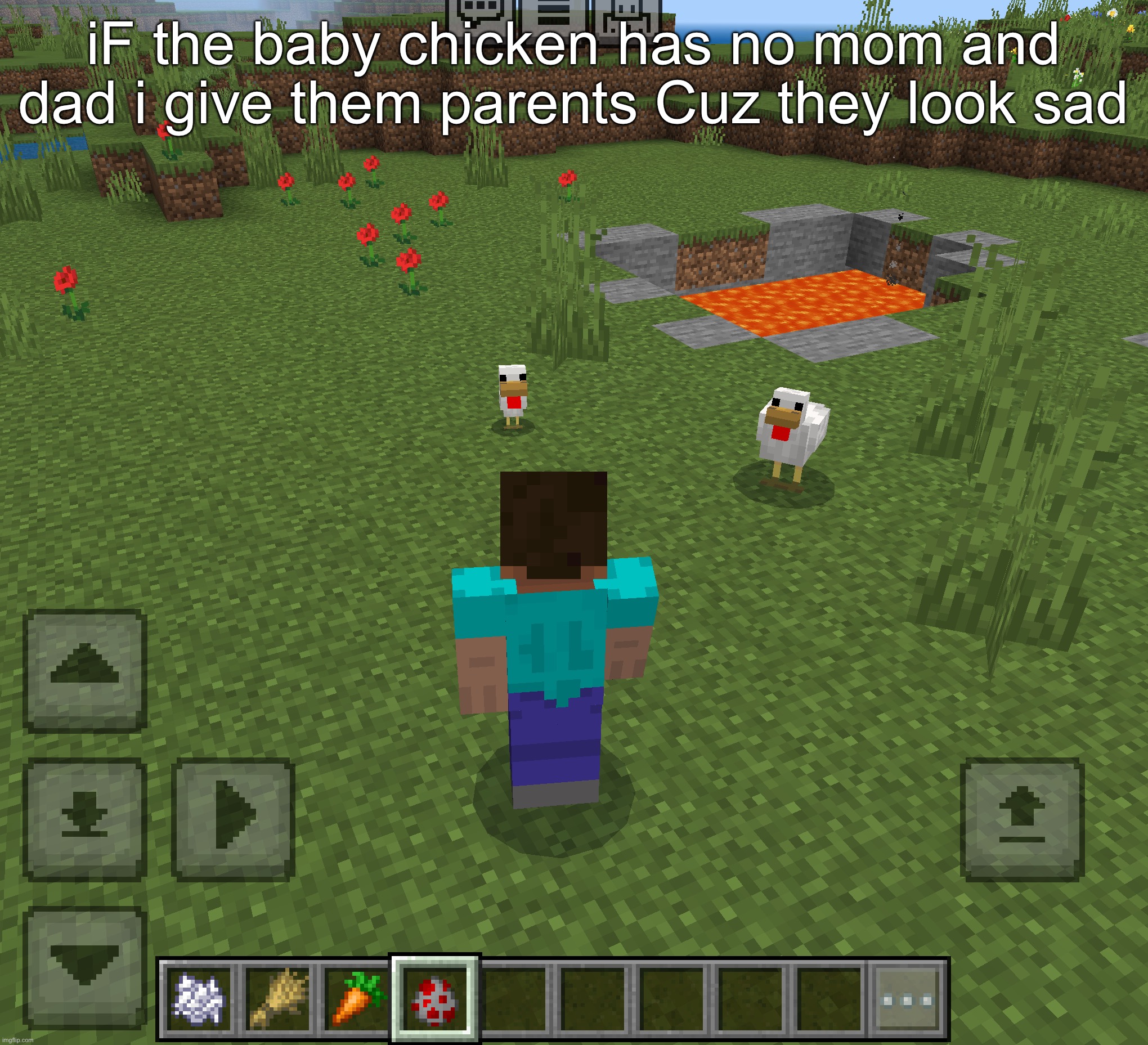 iF the baby chicken has no mom and dad i give them parents Cuz they look sad | made w/ Imgflip meme maker