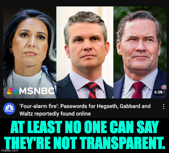 This shouldn't happen if they were confirmed by the Senate, right? | AT LEAST NO ONE CAN SAY
THEY'RE NOT TRANSPARENT. | image tagged in memes,team trump | made w/ Imgflip meme maker