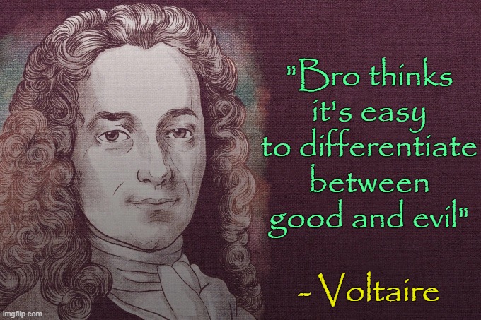 . | "Bro thinks it's easy to differentiate between good and evil"; - Voltaire | image tagged in voltaire | made w/ Imgflip meme maker