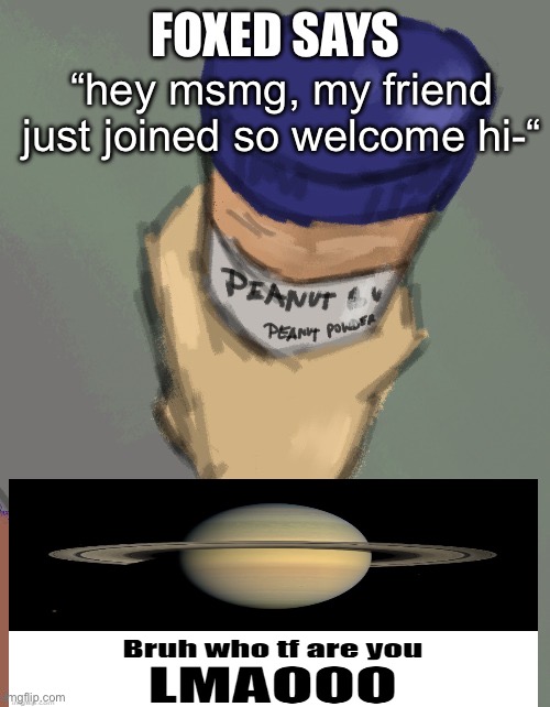 foxed temp (thanks disco) | “hey msmg, my friend just joined so welcome hi-“ | image tagged in foxed temp thanks disco | made w/ Imgflip meme maker