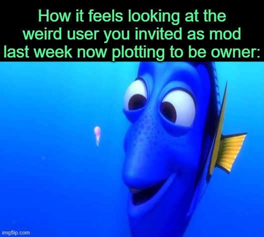 . | How it feels looking at the weird user you invited as mod last week now plotting to be owner: | image tagged in dory squishy | made w/ Imgflip meme maker