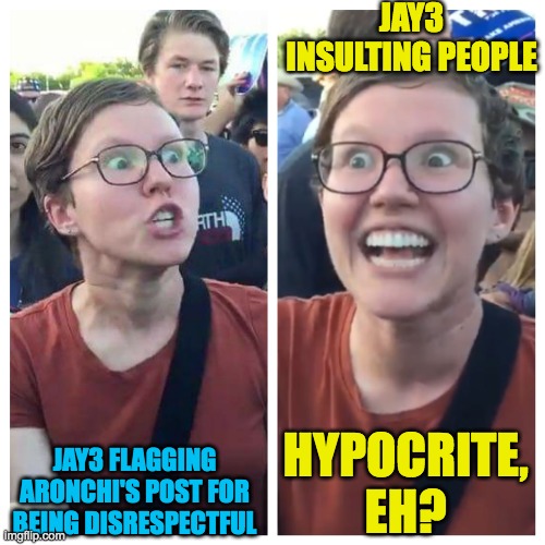Social Justice Warrior Hypocrisy | JAY3 INSULTING PEOPLE; HYPOCRITE, EH? JAY3 FLAGGING ARONCHI'S POST FOR BEING DISRESPECTFUL | image tagged in social justice warrior hypocrisy | made w/ Imgflip meme maker