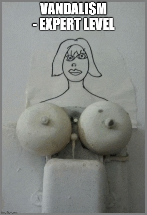 lol | VANDALISM - EXPERT LEVEL | image tagged in funny vandalism | made w/ Imgflip meme maker