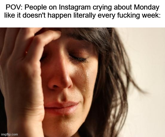 Like boohoo it’s the end of the world! (It isn’t.) | POV: People on Instagram crying about Monday like it doesn't happen literally every fucking week: | image tagged in memes,first world problems | made w/ Imgflip meme maker