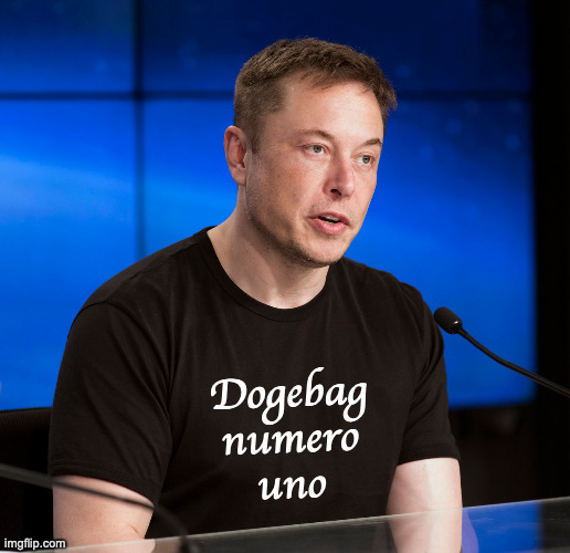 Available in sizes starting at XXL. | Dogebag
numero
uno | image tagged in memes,dogebag elon | made w/ Imgflip meme maker
