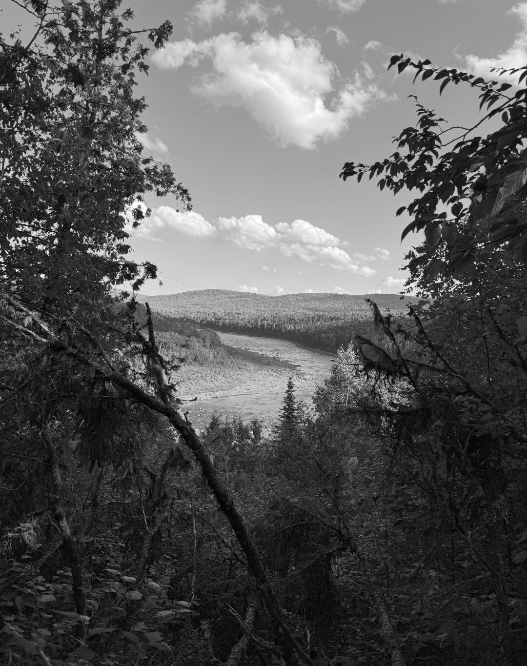 Allagash, Maine. July 2024. Blank Meme Template
