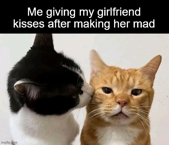 Me giving my girlfriend kisses after making her mad | Me giving my girlfriend kisses after making her mad | image tagged in memes | made w/ Imgflip meme maker