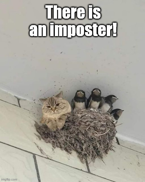 There is an imposter! | There is an imposter! | image tagged in memes | made w/ Imgflip meme maker