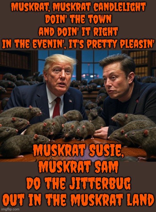 MuskRat Susie, MuskRat SamDo The Jitterbug Down In MuskRat Land | Muskrat, muskrat candlelight
Doin' the town and doin' it right
In the evenin', it's pretty pleasin'; Muskrat Susie, Muskrat Sam
Do the jitterbug
Out in the muskrat land | image tagged in trump musk rats project 2025 alt-right neo-nazi,donald trump is a convicted rapist,muskrats,lock him up,maga,memes | made w/ Imgflip meme maker