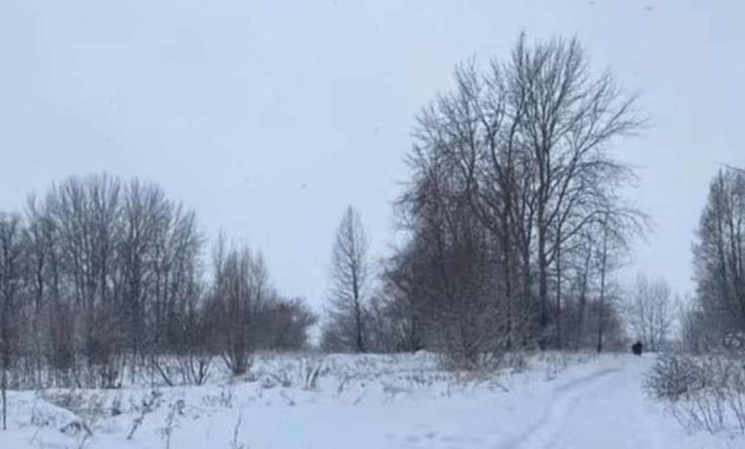 Winter. Blank Meme Template