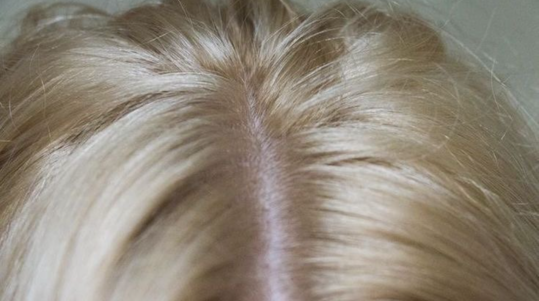 Fresh Roots. Blank Meme Template