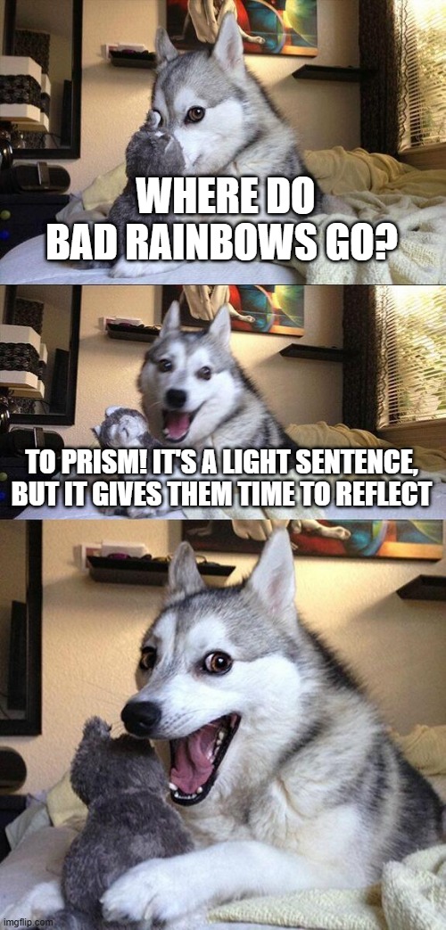 Bad Rainbows! | WHERE DO BAD RAINBOWS GO? TO PRISM! IT'S A LIGHT SENTENCE, BUT IT GIVES THEM TIME TO REFLECT | image tagged in memes,bad pun dog | made w/ Imgflip meme maker