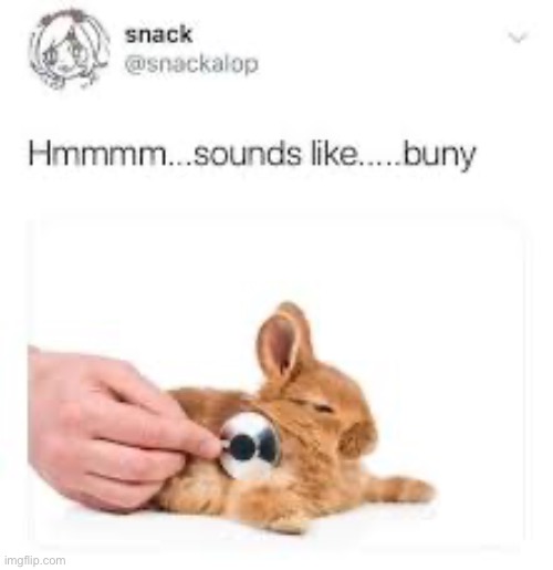 Bnuy | made w/ Imgflip meme maker
