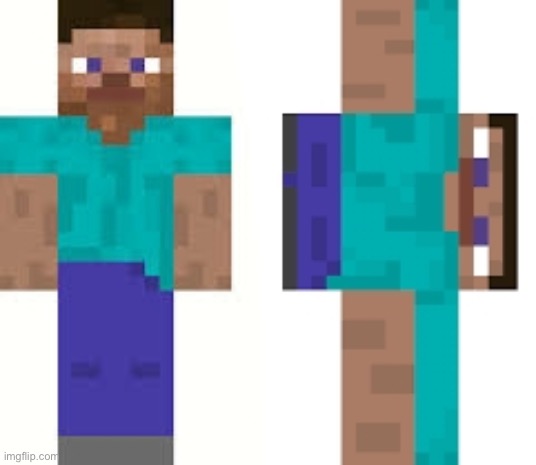 Normal Steve and Sideways Steve | image tagged in normal steve and sideways steve | made w/ Imgflip meme maker