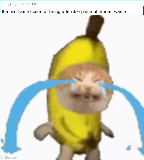 image tagged in banana cat | made w/ Imgflip meme maker