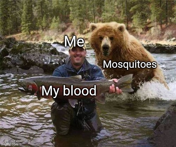 Man Bear Fish | Me; Mosquitoes; My blood | image tagged in man bear fish | made w/ Imgflip meme maker