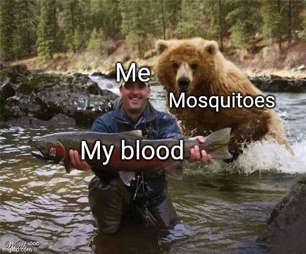 Man Bear Fish | Me; Mosquitoes; My blood | image tagged in man bear fish | made w/ Imgflip meme maker