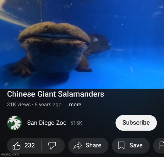 The goofs | made w/ Imgflip meme maker