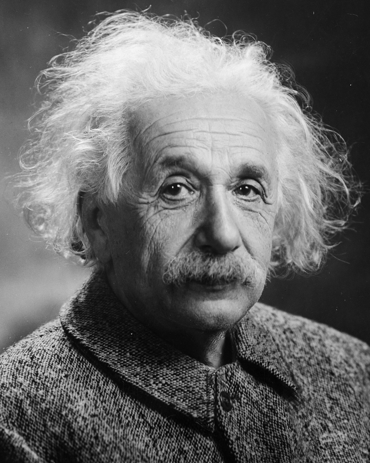 einstein Blank Meme Template