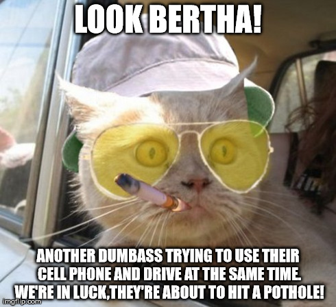 Fear And Loathing Cat Meme | LOOK BERTHA! ANOTHER DUMBASS TRYING TO USE THEIR CELL PHONE AND DRIVE AT THE SAME TIME. WE'RE IN LUCK,THEY'RE ABOUT TO HIT A POTHOLE! | image tagged in memes,fear and loathing cat | made w/ Imgflip meme maker