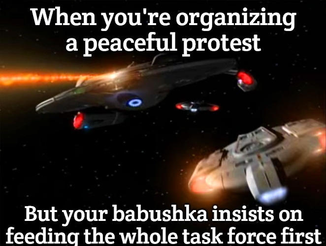 Starfleet Task Force | When you're organizing a peaceful protest; But your babushka insists on feeding the whole task force first | image tagged in starfleet task force,slavic lives matter | made w/ Imgflip meme maker
