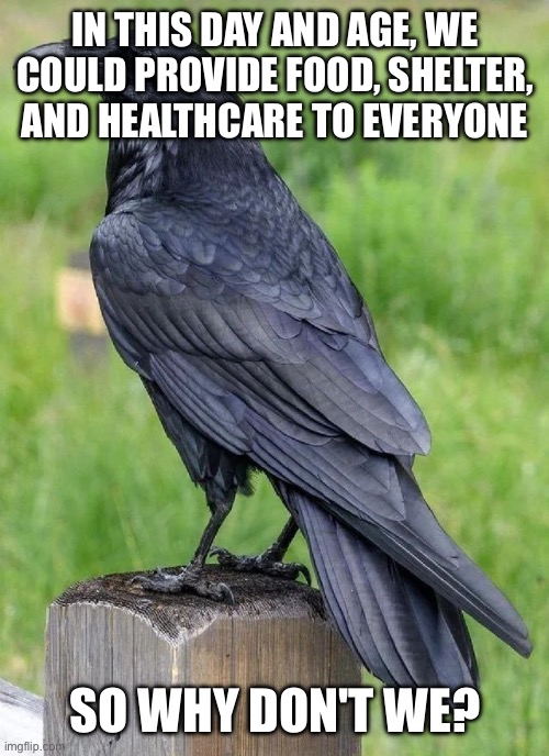 Raven | IN THIS DAY AND AGE, WE COULD PROVIDE FOOD, SHELTER, AND HEALTHCARE TO EVERYONE; SO WHY DON'T WE? | image tagged in raven | made w/ Imgflip meme maker