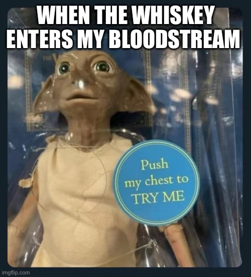 Dobby Try Me | WHEN THE WHISKEY ENTERS MY BLOODSTREAM | image tagged in dobby try me | made w/ Imgflip meme maker