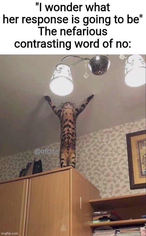 "I wonder what her response is going to be"
The nefarious contrasting word of no: | made w/ Imgflip meme maker
