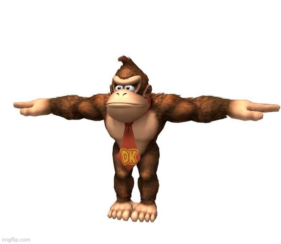 Donkey kong t-pose | image tagged in donkey kong t-pose | made w/ Imgflip meme maker