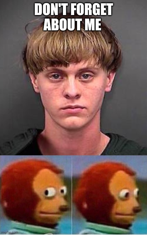 dylan roof monkey puppet | DON'T FORGET ABOUT ME | image tagged in dylan roof monkey puppet | made w/ Imgflip meme maker