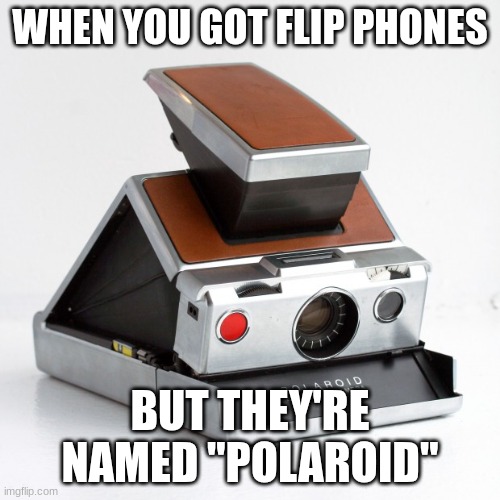 Polaroid | WHEN YOU GOT FLIP PHONES; BUT THEY'RE NAMED "POLAROID" | image tagged in polaroid | made w/ Imgflip meme maker