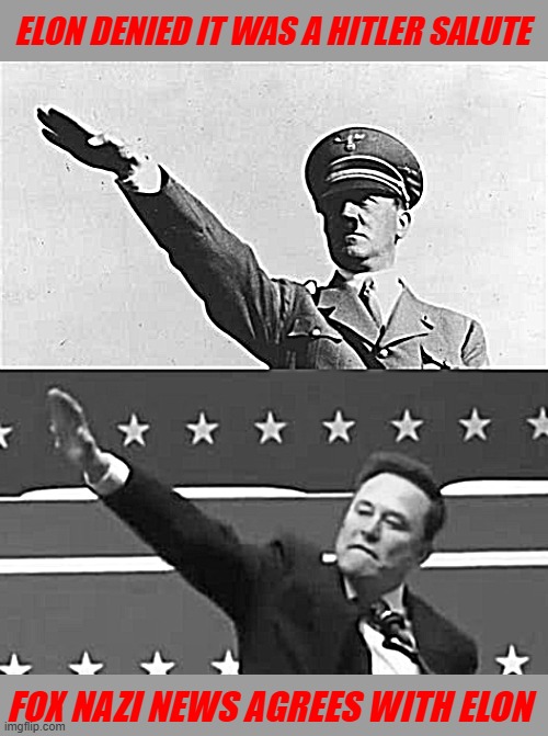 Am I seeing double | ELON DENIED IT WAS A HITLER SALUTE; FOX NAZI NEWS AGREES WITH ELON | image tagged in am i seeing double,nazi slalute,tesla stock sucks,fire trap,suicide car,fascists | made w/ Imgflip meme maker
