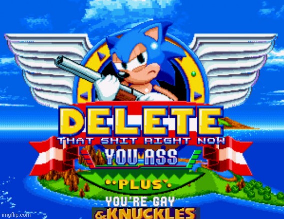 Delete that shit right now you ass plus your gay & knuckles | image tagged in sonic holding a shotgun to tell you to delete | made w/ Imgflip meme maker