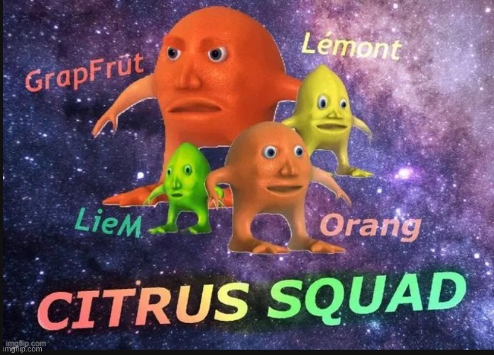 upvote for citrus squad | image tagged in citrus squad | made w/ Imgflip meme maker