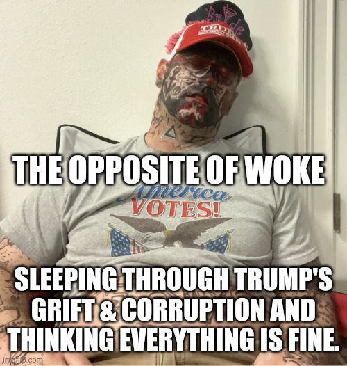 Make Donald Trump Rich Again | THE OPPOSITE OF WOKE; SLEEPING THROUGH TRUMP'S GRIFT & CORRUPTION AND THINKING EVERYTHING IS FINE. | image tagged in make america drunk again,woke,maga,donald trump,elon musk | made w/ Imgflip meme maker