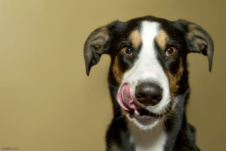 Licking his lips | image tagged in licking his lips | made w/ Imgflip meme maker